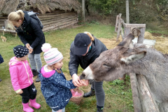 IMG_20201006_104951_HDR