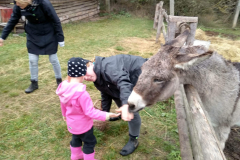 IMG_20201006_104958_HDR