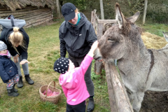 IMG_20201006_105004_HDR