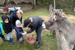 IMG_20201006_105013_HDR