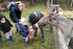 IMG_20201006_105016_HDR