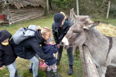 IMG_20201006_105025_HDR