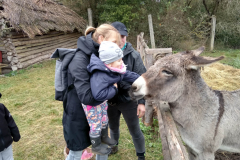 IMG_20201006_105028_HDR