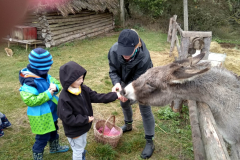 IMG_20201006_105036_HDR