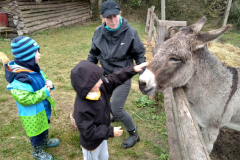 IMG_20201006_105043_HDR