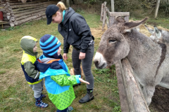 IMG_20201006_105058_HDR