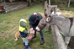 IMG_20201006_105116_HDR