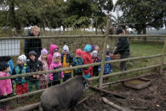 IMG_20201006_105231_HDR