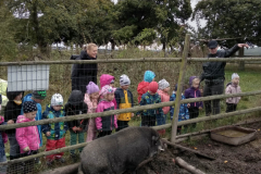 IMG_20201006_105240_HDR