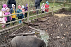 IMG_20201006_105254_HDR