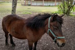 IMG_20201006_105859_HDR