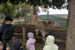 IMG_20201006_110037_HDR