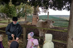 IMG_20201006_110048_HDR