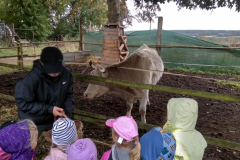 IMG_20201006_110104_HDR