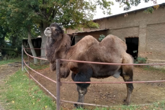 IMG_20201006_110244_HDR