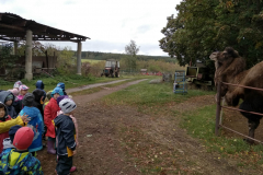 IMG_20201006_110351_HDR