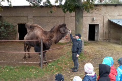 IMG_20201006_110643_HDR