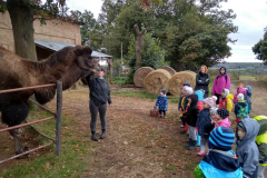 IMG_20201006_110654_HDR