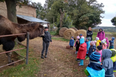 IMG_20201006_110700_HDR