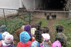 IMG_20201006_111108_HDR