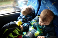 IMG_20201006_114539_HDR